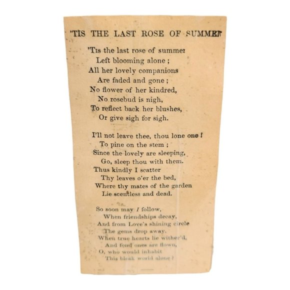 Vintage Last Rose Of Summer Lady Framed Engraving‎ Thomas Moore Poet 11 1/2" - Picture 6 of 8